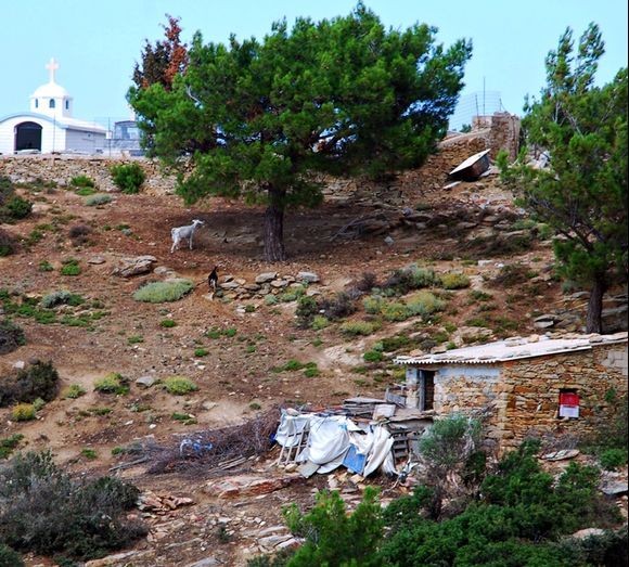 church, goats and cottage near Karavostamo village