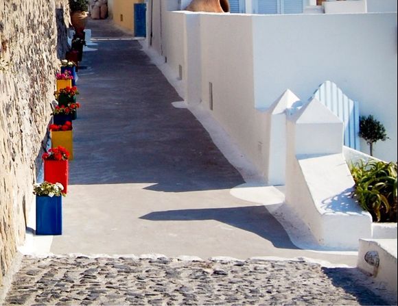 colorful trail of flowers on a pathway to Fira in Santorini