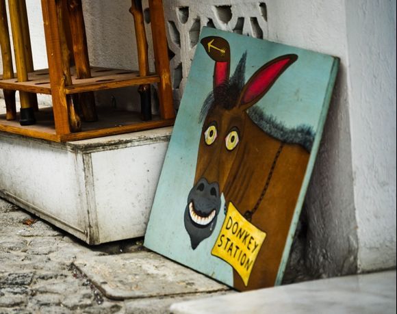 Donkey art