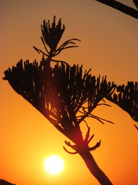 Sunset in Rhodes