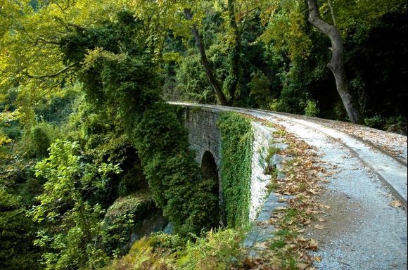Beautiful integration of architecture and nature. The old stone bridge in Milies.