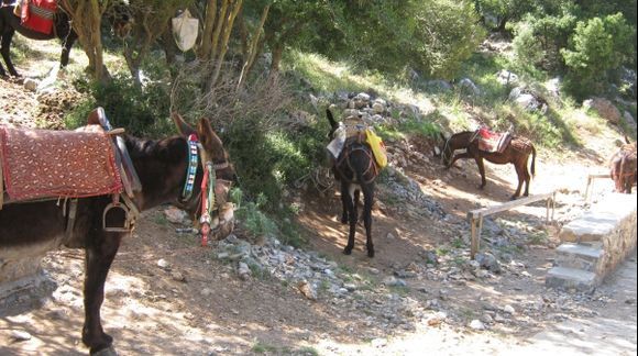 Crete Lassithi Plateau Local Transport to Dikteon Andron Cave