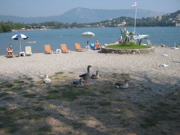 Corfu Gouvia Beach