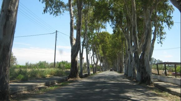 Rhodes Efkalipto Street to Kolympia beach