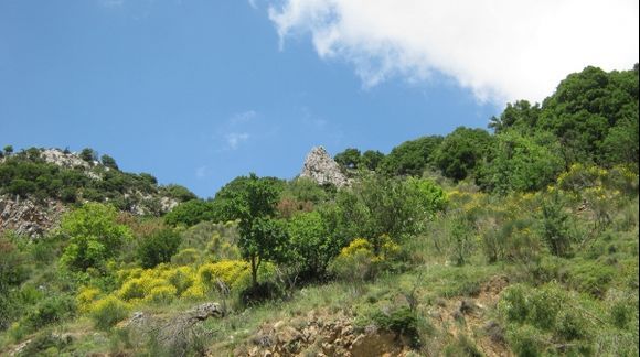 Crete Lassithi Plateau