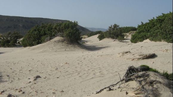 Elafonissos Simos beach