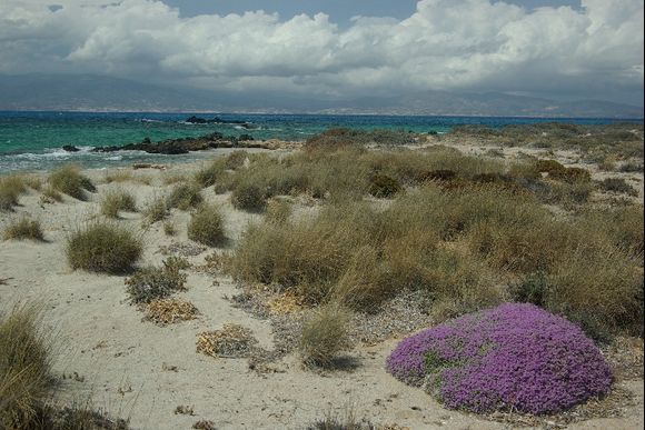 A white-sand beach on Hrysi Island. Picture taken in June, 2009
