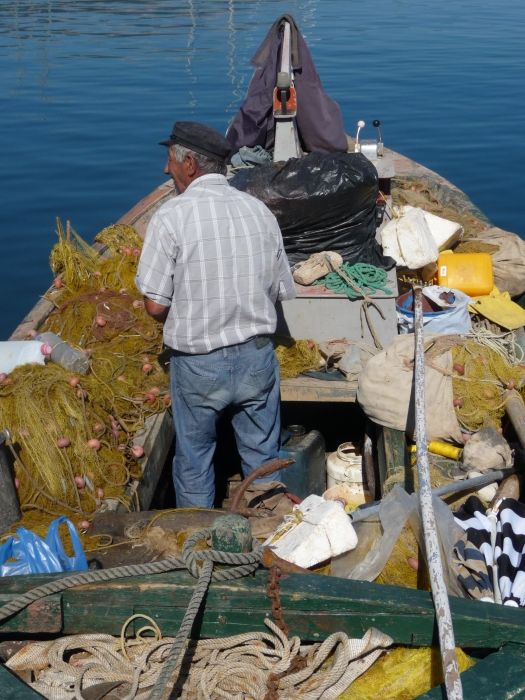 fisherman in the harbour