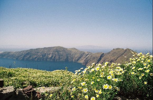 Santorini: on the small footpath from Fira to Oia. best in spring time because of the volume of flowers