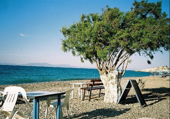 Samos, Kokkari: The beach at Nikos Taverna