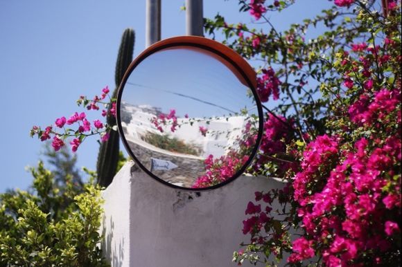 Reflections in Pink