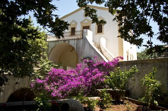 Beautiful building and Bougainville in Mylopotamos