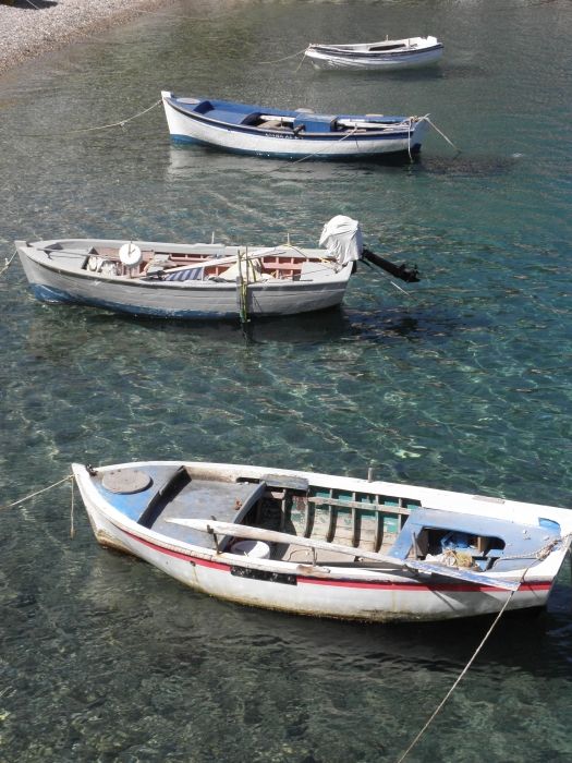 Some small fishing boats