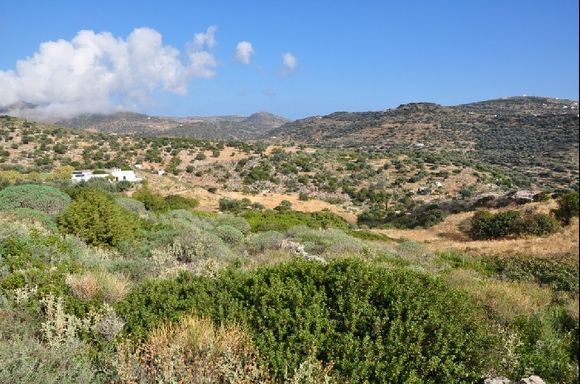Landscape between Apollonia and Aghios Eleftherios