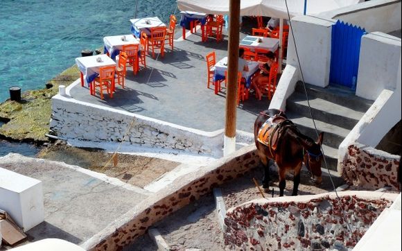 oia donkey station