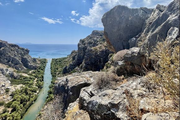 preveli ants 