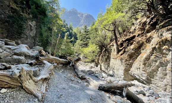 samaria is a nice place to hike but can be very dangerous. there has been a death report from recent days. we made the hike about 2weeks ago, exit the gorge in  17.30 and in 19.30 there has been an earthquake that i felt when i was lying in my bed in agia roumeli. lucky me. be safe and take care hikers! 