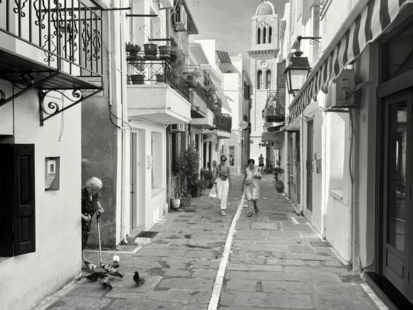 feeding the pigeons in rethymno