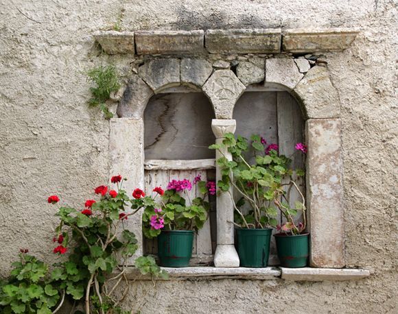 Old window with geraniums