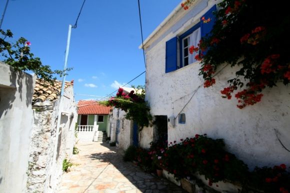 Flowers around typical Greek houses, Afionas, Corfu