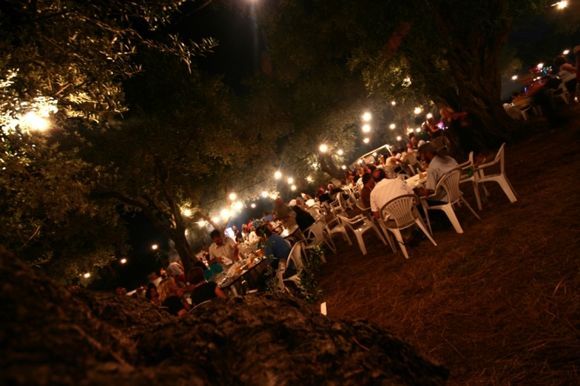 Party under the olive trees, Arillas, Corfu