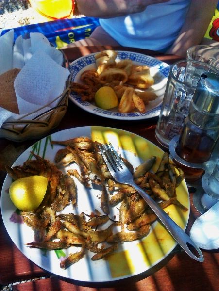 Kalymnos island, delicious fresh fish in Kalamies beach