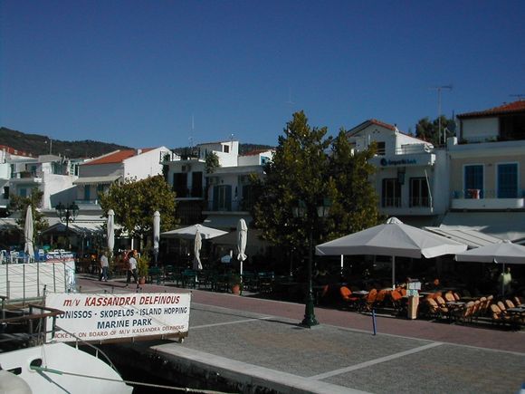 The Port of Skiathos