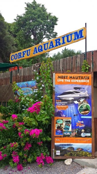 Corfu island, an interesting Aquarium in Paleokastritsa