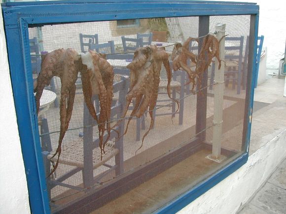 Inviting octopus in a restaurant of Patmos Chora