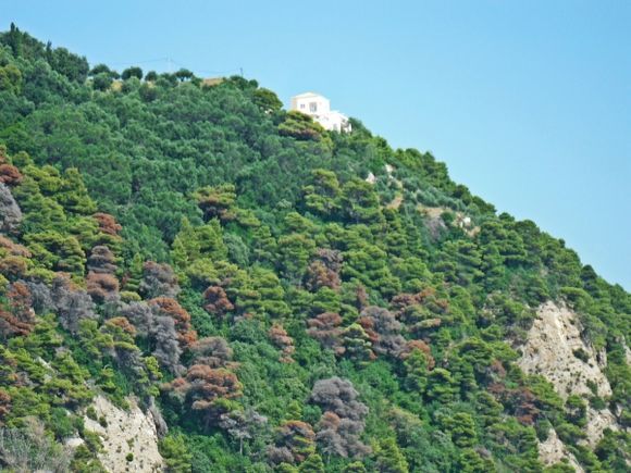 Corfu island, the Nature behind Glyfada beach