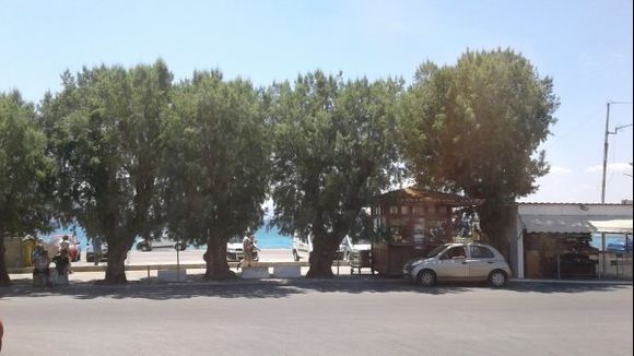 lovely shade across the street of the bus terminal in egina