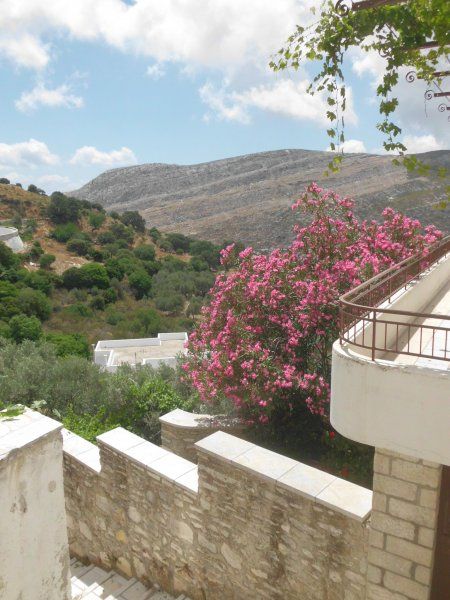 flowers of naxos, apeiranthos village