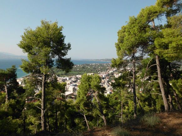 I enjoyed beautiful views on my way up to the castle through a lovely pine forest