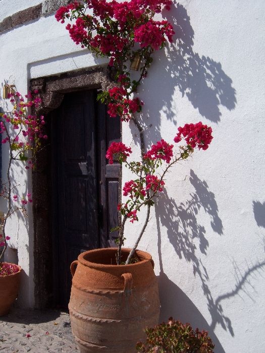 Doors and flowers