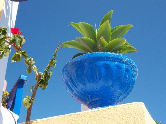 Flower pot at Oia