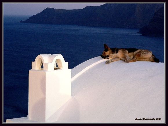 Cooling off on a rooftop in Oia