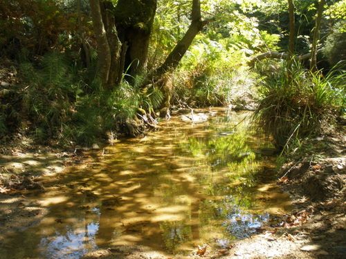 Skiathos, small river