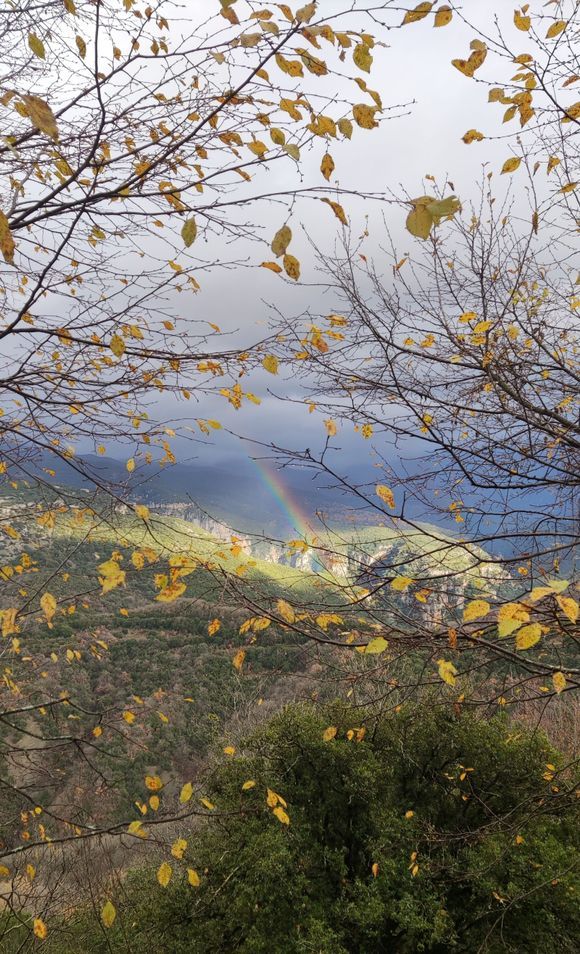 The rainbow emerging from the slopes of Pindos (Vikos Gorge) in a very autumnal setting - one of my favorite photos of 2023. 
May 2024 be equally beautiful and bright. Happy New Year everyone!

Taken on December 22nd, 2023.