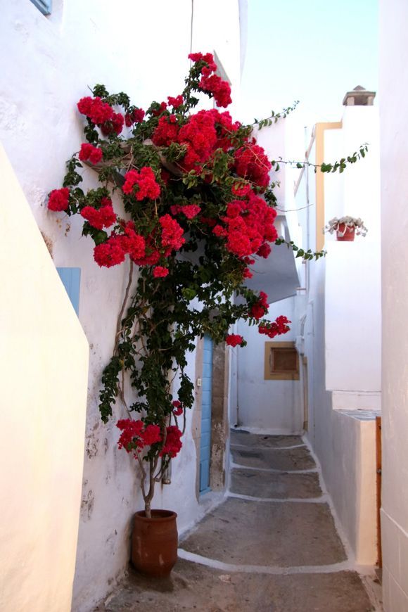 The small streets of Plaka.
