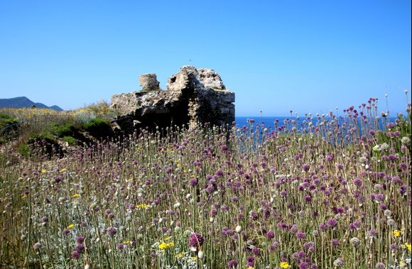 Peloponez-Castle of Methoni