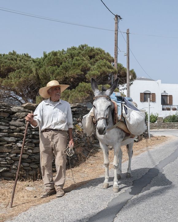 A man with a donkey in Sifnos on the main road that connects Apolonnia and Kastro.
📸 @stefanosnapshots