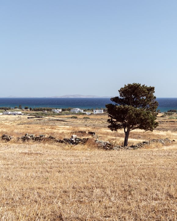 Landscape 📷 in Tinos
📷 stefanosnapshots 