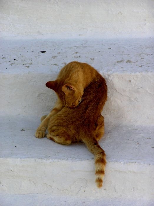 Amorgos