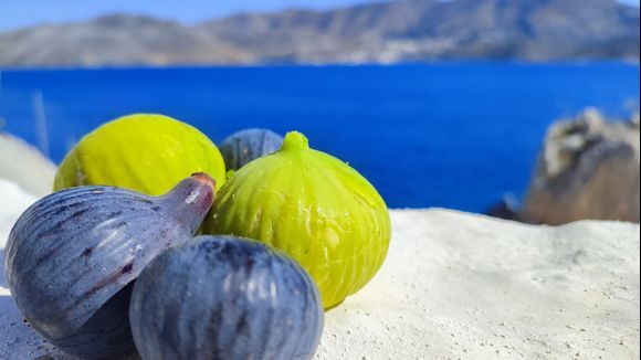 Fresh figs with a view from nearby Ascension.