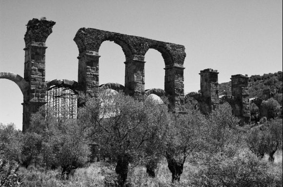 Roman Aqueduct. 2013