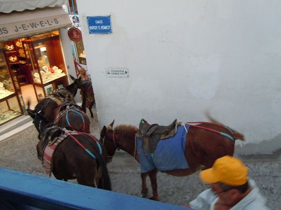 donkeys and jewelery, Fira, Santorini