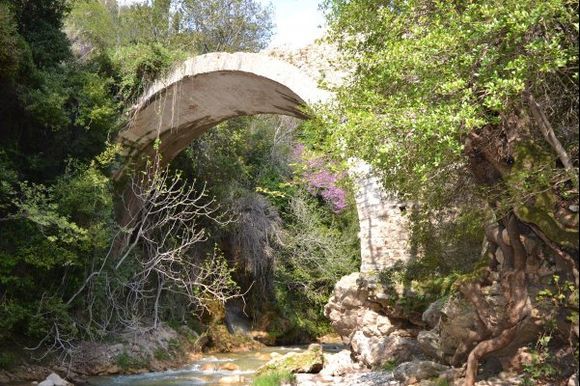 Old stone bridge taken from the Neda River