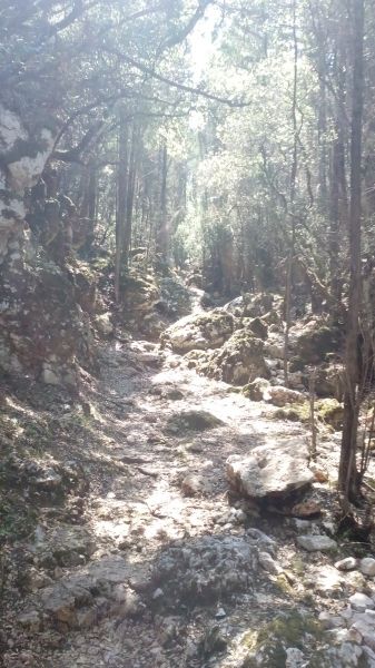 path to dafnoudi beach