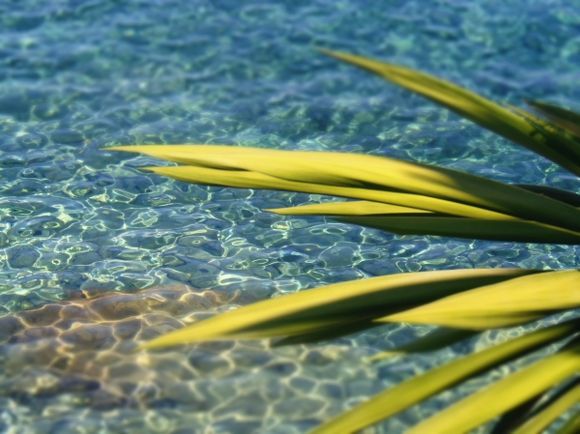 Crystal clear waters - Agia Efimia