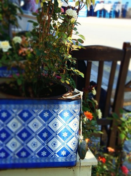 Decorative plant pot - Ithaca